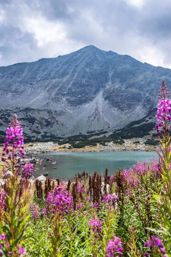 Borovets Gardens B30 Morunov Apart エクステリア 写真